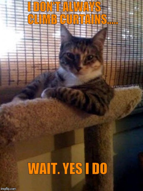 The Most Interesting Cat In The World Meme | I DON'T ALWAYS CLIMB CURTAINS..... WAIT. YES I DO | image tagged in memes,the most interesting cat in the world | made w/ Imgflip meme maker