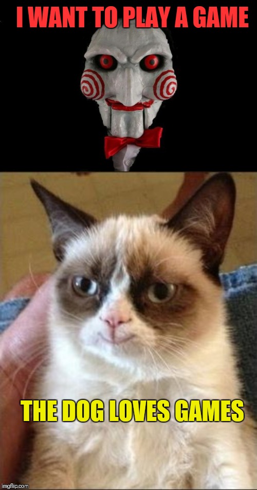 Grumpy Cat | I WANT TO PLAY A GAME; THE DOG LOVES GAMES | image tagged in jigsaw,grumpy smile,one does not simply,grumpy cat,funny | made w/ Imgflip meme maker