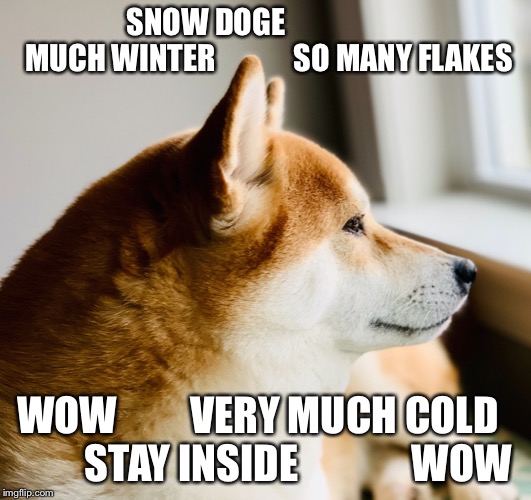Much Snow | SNOW DOGE                     MUCH WINTER             SO MANY FLAKES; WOW         VERY MUCH COLD          STAY INSIDE              WOW | image tagged in much snow | made w/ Imgflip meme maker