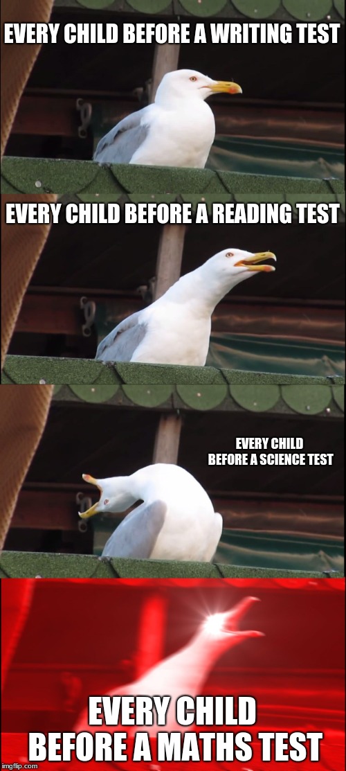 Inhaling Seagull Meme | EVERY CHILD BEFORE A WRITING TEST; EVERY CHILD BEFORE A READING TEST; EVERY CHILD BEFORE A SCIENCE TEST; EVERY CHILD BEFORE A MATHS TEST | image tagged in memes,inhaling seagull | made w/ Imgflip meme maker