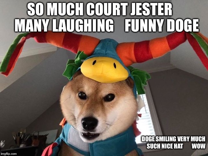 Smiling Doge | SO MUCH COURT JESTER     MANY LAUGHING    FUNNY DOGE; DOGE SMILING VERY MUCH               SUCH NICE HAT        WOW | image tagged in funny dogs,doge,smile dog,smiling dog | made w/ Imgflip meme maker