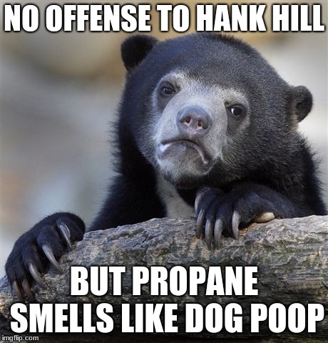 And that's real. | NO OFFENSE TO HANK HILL; BUT PROPANE SMELLS LIKE DOG POOP | image tagged in memes,confession bear,propane,hank hill,king of the hill | made w/ Imgflip meme maker