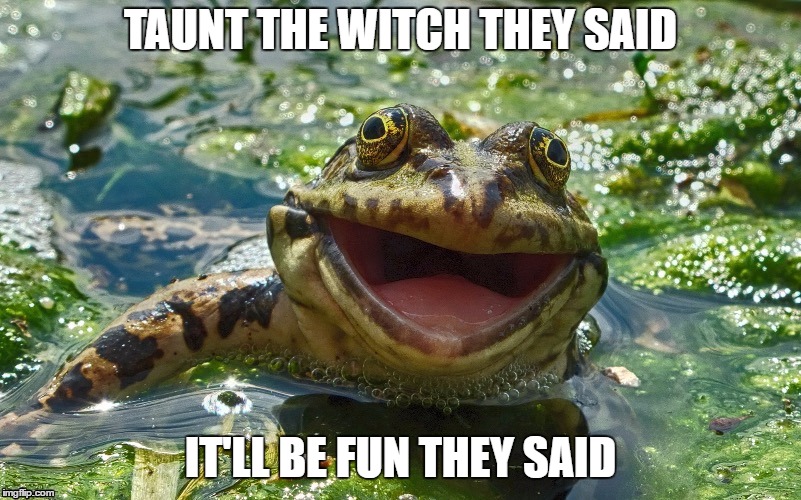 Frog pond | TAUNT THE WITCH THEY SAID; IT'LL BE FUN THEY SAID | image tagged in frog pond,random,witch | made w/ Imgflip meme maker