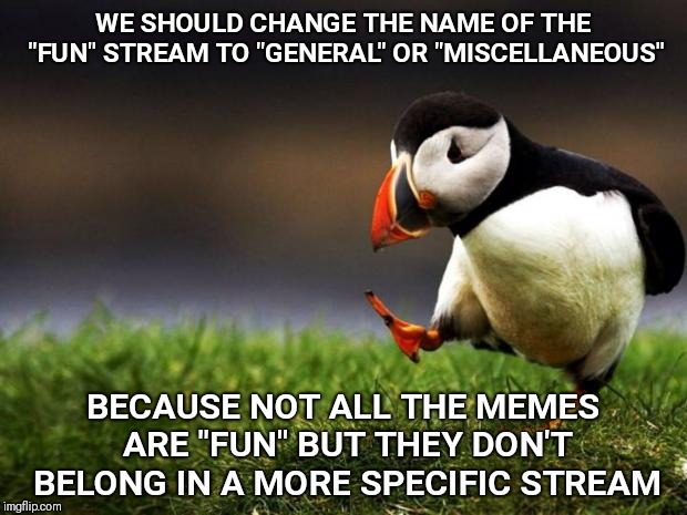 Unpopular Opinion Puffin Meme | WE SHOULD CHANGE THE NAME OF THE "FUN" STREAM TO "GENERAL" OR "MISCELLANEOUS"; BECAUSE NOT ALL THE MEMES ARE "FUN" BUT THEY DON'T BELONG IN A MORE SPECIFIC STREAM | image tagged in memes,unpopular opinion puffin | made w/ Imgflip meme maker