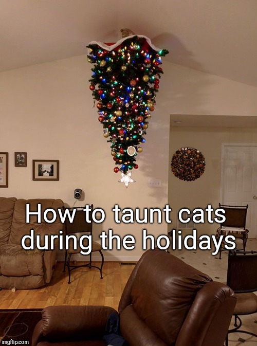 How to taunt cats during the holidays | image tagged in cat-proof tree,christmas,yule | made w/ Imgflip meme maker