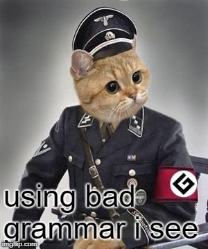 Grammar Nazi Cat | using bad grammar i see | image tagged in grammar nazi cat | made w/ Imgflip meme maker