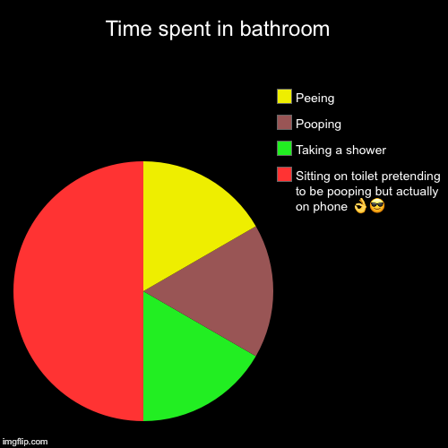 Time spent in bathroom  | Sitting on toilet pretending to be pooping but actually on phone  | image tagged in funny,pie charts | made w/ Imgflip chart maker