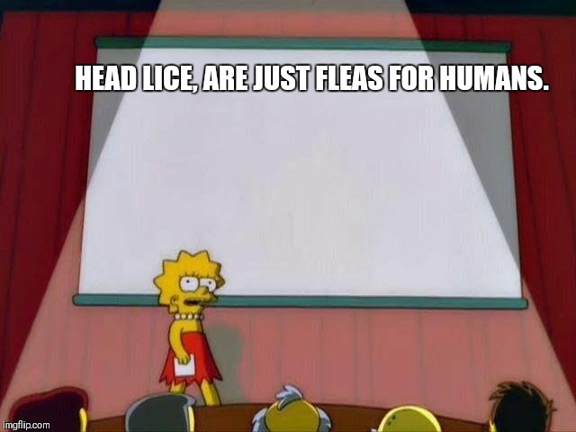 Lisa Simpson's Presentation | HEAD LICE, ARE JUST FLEAS FOR HUMANS. | image tagged in lisa simpson's presentation | made w/ Imgflip meme maker