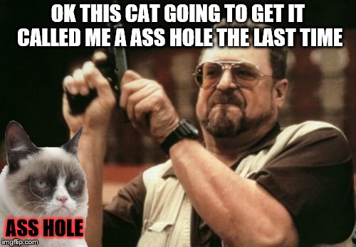 grumpy cat | OK THIS CAT GOING TO GET IT CALLED ME A ASS HOLE THE LAST TIME; ASS HOLE | image tagged in grumpy cat insults,grumpy cats,funny memes,funny meme,cat,meme | made w/ Imgflip meme maker