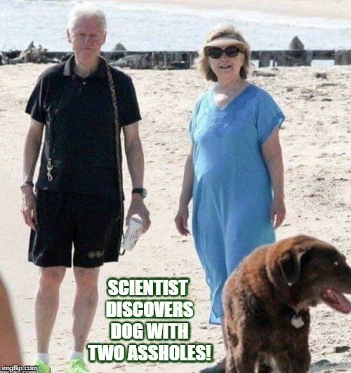 The Scientific Community is Stunned | SCIENTIST DISCOVERS DOG WITH TWO ASSHOLES! | image tagged in good boy,cool dog,great rover,nice beaver,clever boy | made w/ Imgflip meme maker