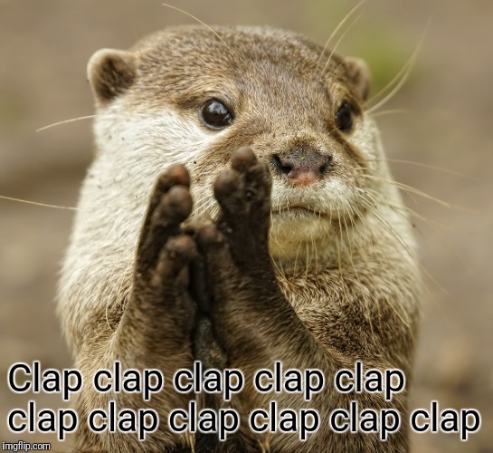 Squirrel Applause | Clap clap clap clap clap clap clap clap clap clap clap | image tagged in squirrel applause | made w/ Imgflip meme maker