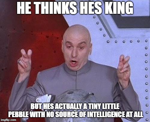 Dr Evil Laser Meme | HE THINKS HES KING; BUT HES ACTUALLY A TINY LITTLE PEBBLE WITH NO SOURCE OF INTELLIGENCE AT ALL | image tagged in memes,dr evil laser | made w/ Imgflip meme maker