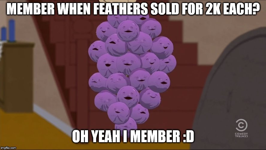 Member Berries | MEMBER WHEN FEATHERS SOLD FOR 2K EACH? OH YEAH I MEMBER :D | image tagged in memes,member berries | made w/ Imgflip meme maker