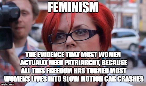 Just gonna go ahead and stick this on an angry, depressed, emotional feminists blog I just found :P | FEMINISM; THE EVIDENCE THAT MOST WOMEN ACTUALLY NEED PATRIARCHY, BECAUSE ALL THIS FREEDOM HAS TURNED MOST WOMENS LIVES INTO SLOW MOTION CAR CRASHES | image tagged in angry feminist | made w/ Imgflip meme maker