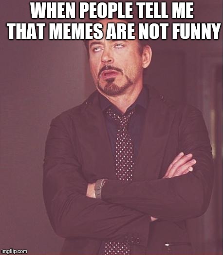 Face You Make Robert Downey Jr | WHEN PEOPLE TELL ME THAT MEMES ARE NOT FUNNY | image tagged in memes,face you make robert downey jr | made w/ Imgflip meme maker