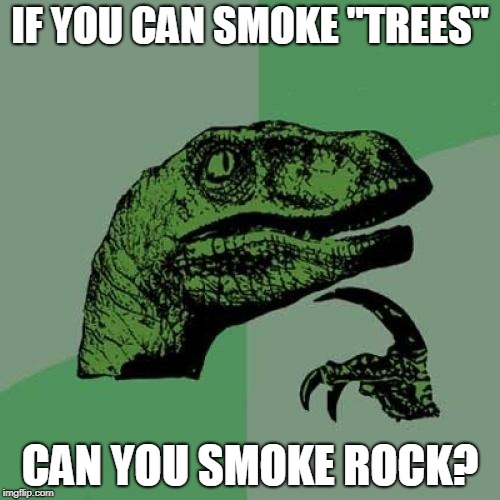 Philosoraptor Meme | IF YOU CAN SMOKE "TREES"; CAN YOU SMOKE ROCK? | image tagged in memes,philosoraptor | made w/ Imgflip meme maker
