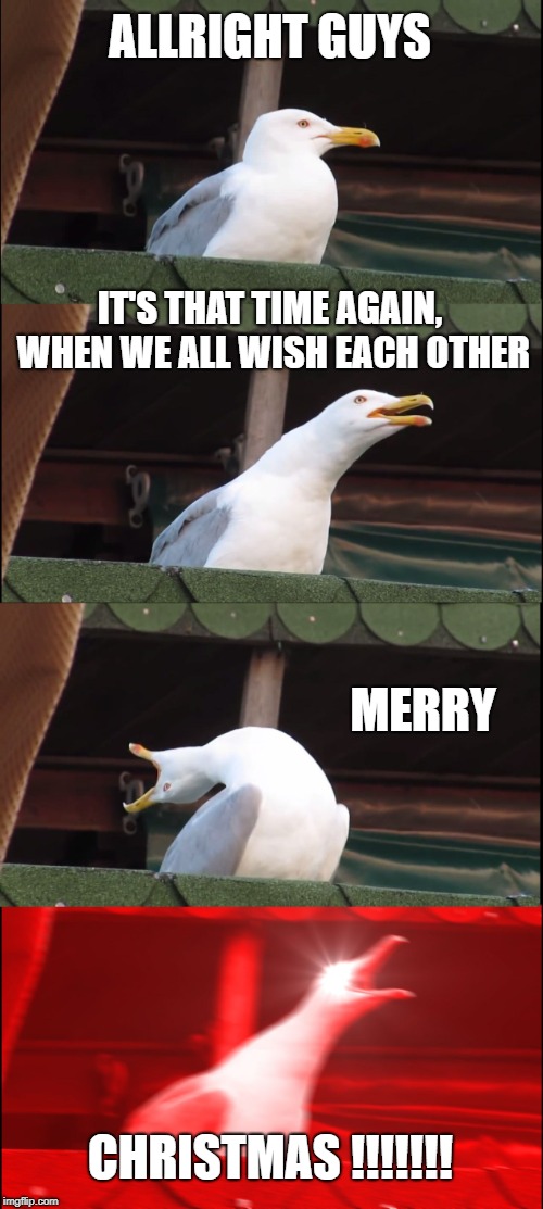 Inhaling Seagull Wishes You all a Merry Christmas! :) | ALLRIGHT GUYS; IT'S THAT TIME AGAIN, WHEN WE ALL WISH EACH OTHER; MERRY; CHRISTMAS !!!!!!! | image tagged in memes,inhaling seagull,xmas,christmas,happy holidays,blessings | made w/ Imgflip meme maker