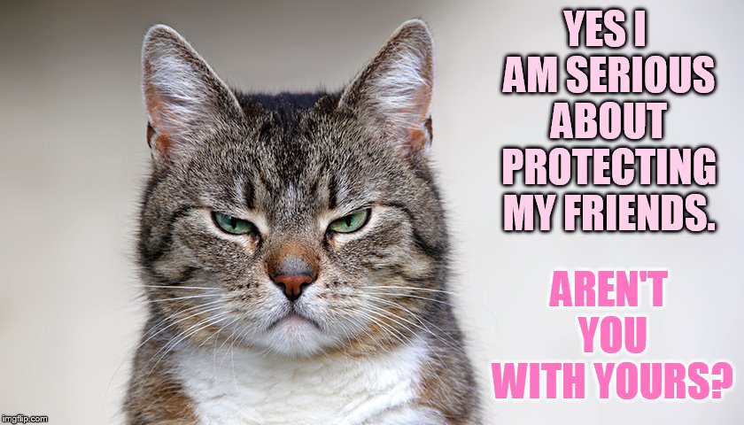 YES I AM SERIOUS ABOUT PROTECTING MY FRIENDS. AREN'T YOU WITH YOURS? | made w/ Imgflip meme maker