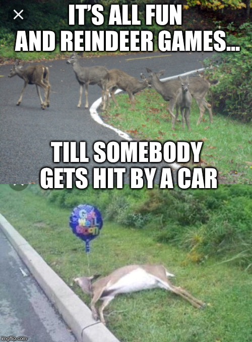 Oh deer! | IT’S ALL FUN AND REINDEER GAMES... TILL SOMEBODY GETS HIT BY A CAR | image tagged in reindeer games,funny memes | made w/ Imgflip meme maker
