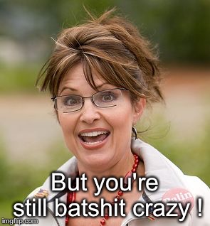 Sarah Palin | But you're still batshit crazy ! | image tagged in sarah palin | made w/ Imgflip meme maker