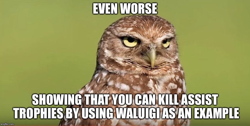 Death Stare Owl | EVEN WORSE SHOWING THAT YOU CAN KILL ASSIST TROPHIES BY USING WALUIGI AS AN EXAMPLE | image tagged in death stare owl | made w/ Imgflip meme maker