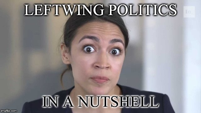 sometimes you feel like a nut | LEFTWING POLITICS; IN A NUTSHELL | image tagged in crazy alexandria ocasio-cortez | made w/ Imgflip meme maker