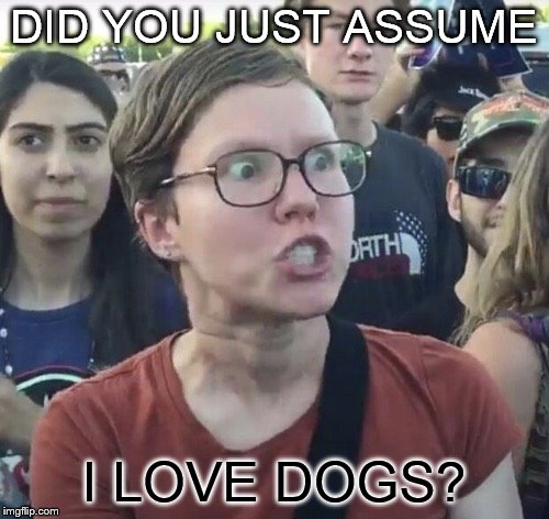 Triggered feminist | DID YOU JUST ASSUME I LOVE DOGS? | image tagged in triggered feminist | made w/ Imgflip meme maker
