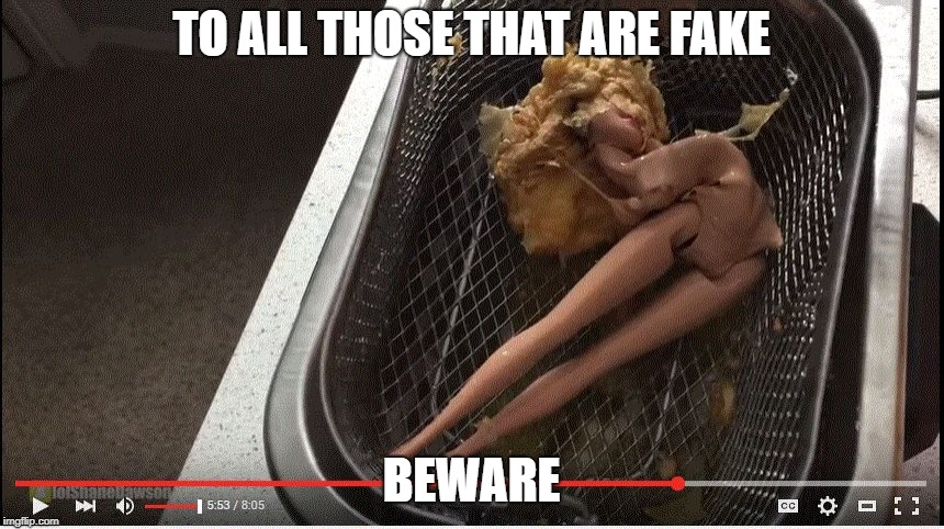 Deep Fried Barbie | TO ALL THOSE THAT ARE FAKE; BEWARE | image tagged in deep fried barbie | made w/ Imgflip meme maker