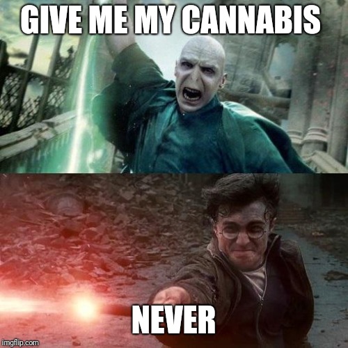 Harry Potter meme | GIVE ME MY CANNABIS; NEVER | image tagged in harry potter meme | made w/ Imgflip meme maker