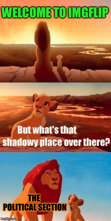 Simba Shadowy Place Meme | WELCOME TO IMGFLIP THE POLITICAL SECTION | image tagged in memes,simba shadowy place | made w/ Imgflip meme maker