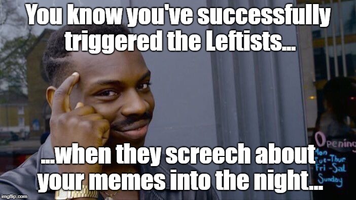 Roll Safe Think About It Meme | You know you've successfully triggered the Leftists... ...when they screech about your memes into the night... | image tagged in memes,roll safe think about it | made w/ Imgflip meme maker