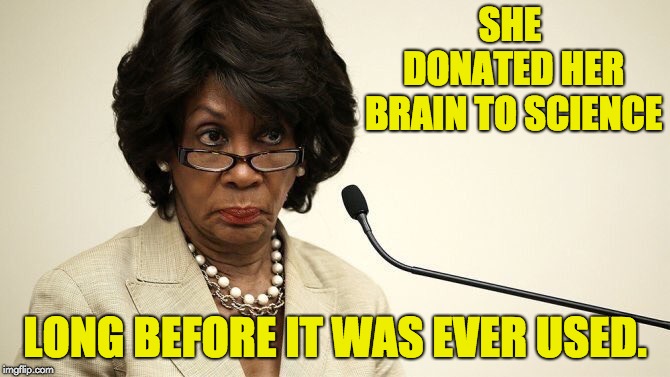 Maxine Waters Crazy | SHE DONATED HER BRAIN TO SCIENCE; LONG BEFORE IT WAS EVER USED. | image tagged in maxine waters crazy | made w/ Imgflip meme maker