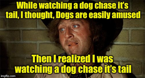 Easily amused |  While watching a dog chase it’s tail, I thought, Dogs are easily amused; Then I realized I was watching a dog chase it’s tail | image tagged in gene wilder,memes,dogs | made w/ Imgflip meme maker
