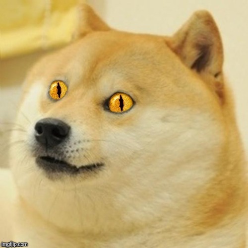 Doge Snake Eyes | . | image tagged in doge snake eyes | made w/ Imgflip meme maker