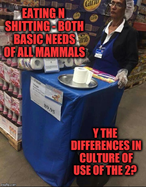 EATING N SHITTING - BOTH BASIC NEEDS OF ALL MAMMALS; Y THE DIFFERENCES IN CULTURE OF USE OF THE 2? | image tagged in tp sampling | made w/ Imgflip meme maker