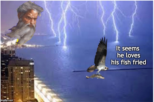 Not Everyone Likes Sushi | It seems he loves his fish fried | image tagged in angrygod,fishing,eagle,sushi | made w/ Imgflip meme maker
