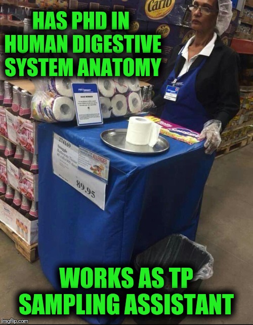 HAS PHD IN HUMAN DIGESTIVE SYSTEM ANATOMY; WORKS AS TP SAMPLING ASSISTANT | image tagged in phd,work,career | made w/ Imgflip meme maker