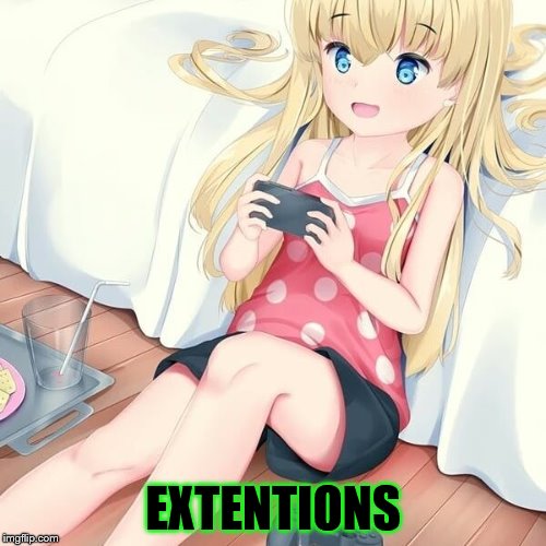 EXTENTIONS | made w/ Imgflip meme maker