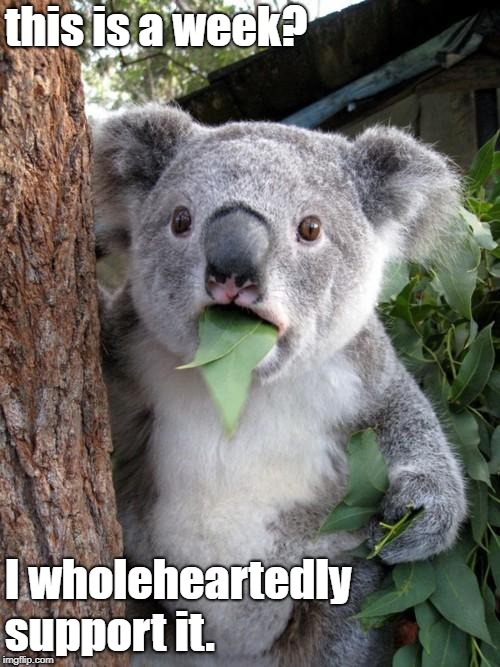 Surprised Koala Meme | this is a week? I wholeheartedly support it. | image tagged in memes,surprised koala | made w/ Imgflip meme maker