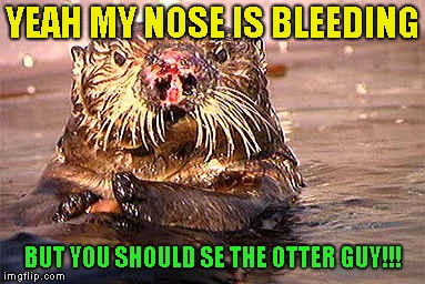 The otter guy | YEAH MY NOSE IS BLEEDING; BUT YOU SHOULD SE THE OTTER GUY!!! | image tagged in otter,guy,funny animals | made w/ Imgflip meme maker