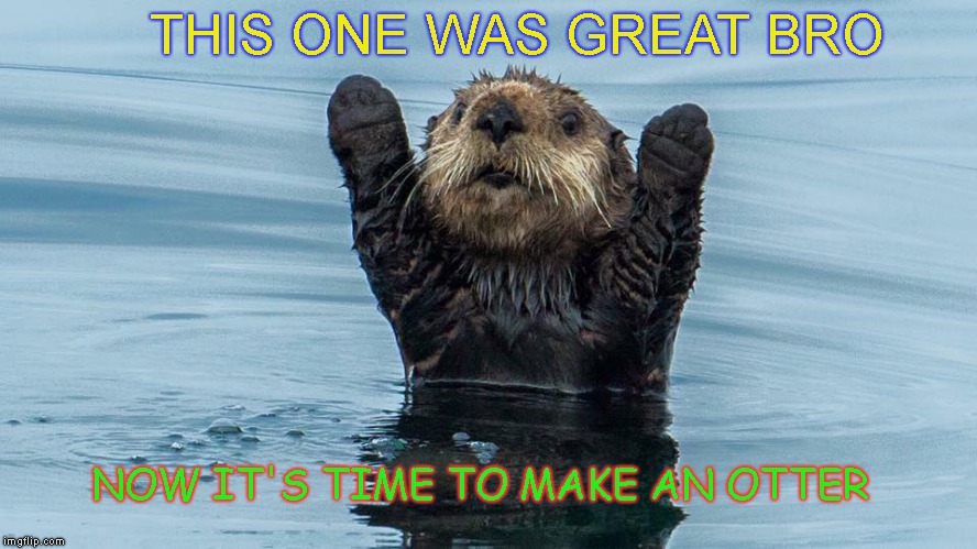NOW IT'S TIME TO MAKE AN OTTER THIS ONE WAS GREAT BRO | made w/ Imgflip meme maker