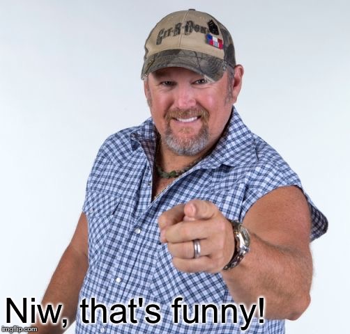 Larry the Cable Guy | Niw, that's funny! | image tagged in larry the cable guy | made w/ Imgflip meme maker