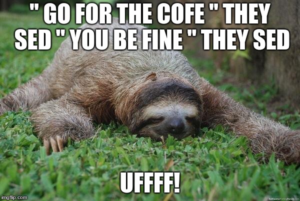 Sloth Monday | " GO FOR THE COFE " THEY SED " YOU BE FINE " THEY SED; UFFFF! | image tagged in sloth monday | made w/ Imgflip meme maker