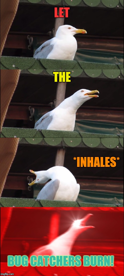 Inhaling Seagull Meme | LET THE *INHALES* BUG CATCHERS BURN! | image tagged in memes,inhaling seagull | made w/ Imgflip meme maker