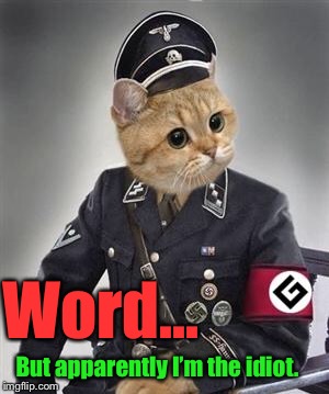 Grammar Nazi Cat | Word... But apparently I’m the idiot. | image tagged in grammar nazi cat | made w/ Imgflip meme maker