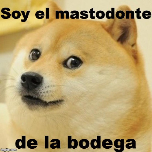 Doge Meme | Soy el mastodonte; de la bodega | image tagged in memes,doge | made w/ Imgflip meme maker