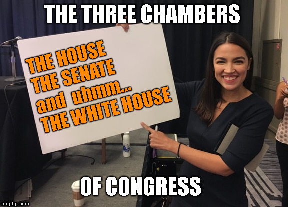 Ocasional Politics 101 | THE HOUSE  THE SENATE  and  uhmm... THE WHITE HOUSE; THE THREE CHAMBERS; OF CONGRESS | image tagged in ocasio cortez whiteboard,memes,meme,alexandria ocasio-cortez | made w/ Imgflip meme maker