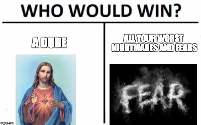 Who Would Win? | A DUDE; ALL YOUR WORST NIGHTMARES AND FEARS | image tagged in memes,who would win | made w/ Imgflip meme maker