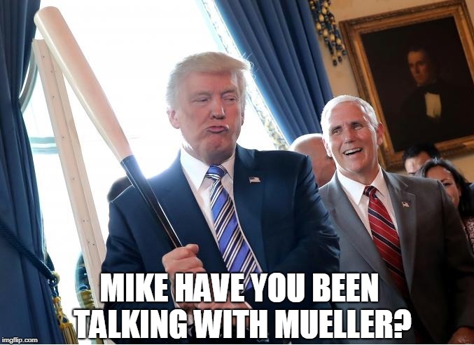 Mike have you been talking? | MIKE HAVE YOU BEEN TALKING WITH MUELLER? | image tagged in trump,mike pence,guilty,criminals,talking | made w/ Imgflip meme maker