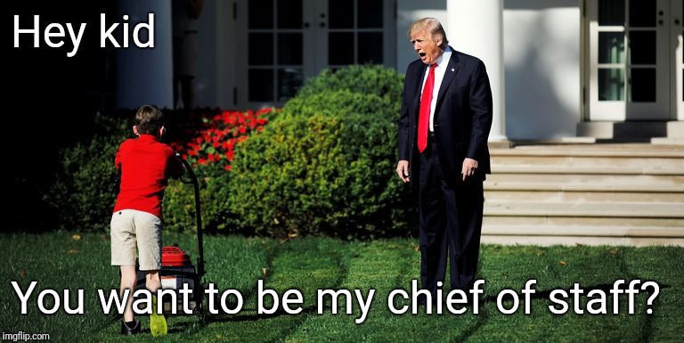 Trump-Kid-Mowing | Hey kid You want to be my chief of staff? | image tagged in trump-kid-mowing | made w/ Imgflip meme maker